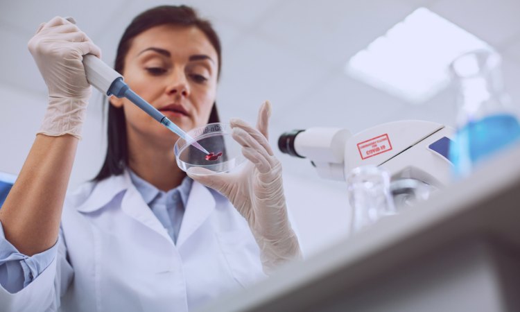 Visual científico de biología molecular con estructuras biomédicas o trabajo en laboratorio especializado